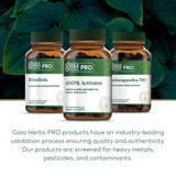 Gaia Herbs PRO AMPK Activador, uso diario con comidas en cápsula