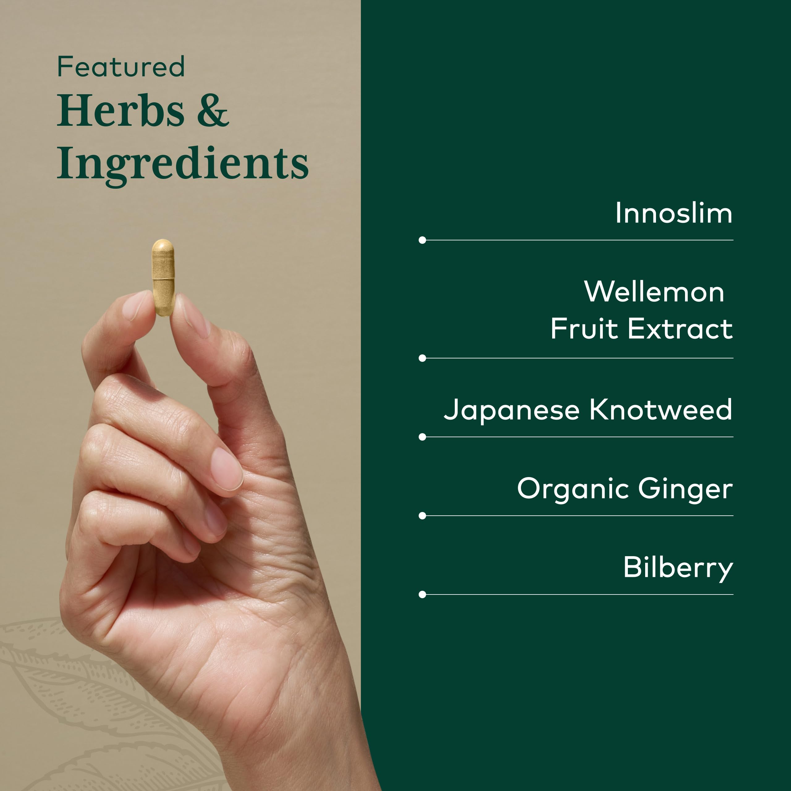 Gaia Herbs PRO AMPK Activador, jengibre y caña japonesa para apoyo diario