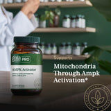 Gaia Herbs PRO AMPK Activador, arándano para antioxidantes y bienestar