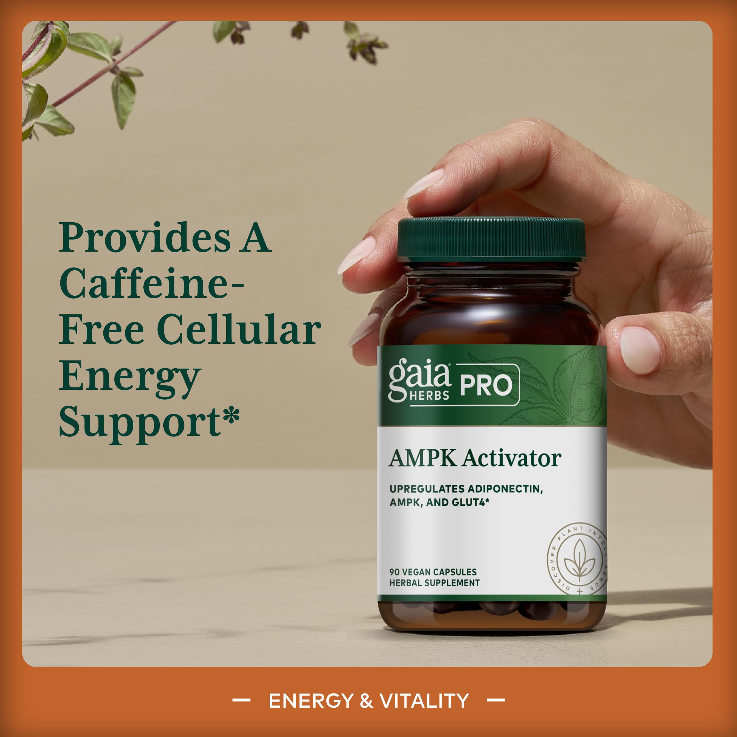 Gaia Herbs PRO AMPK Activador, ingrediente Wellemon con flavonoide cítrico