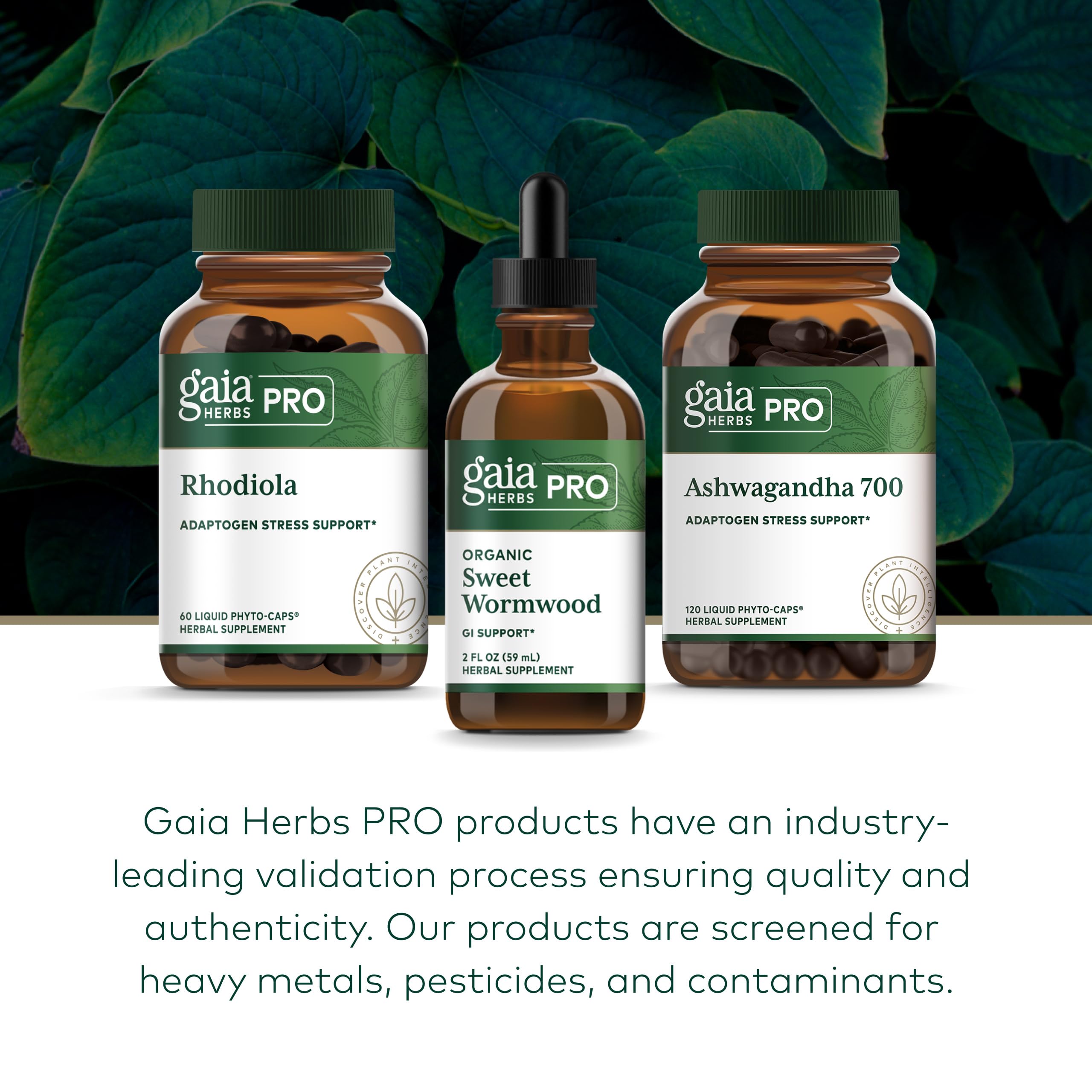 GAIA HERBS PRO Artemisa Dulce, gotero de precisión para dosis seguras.