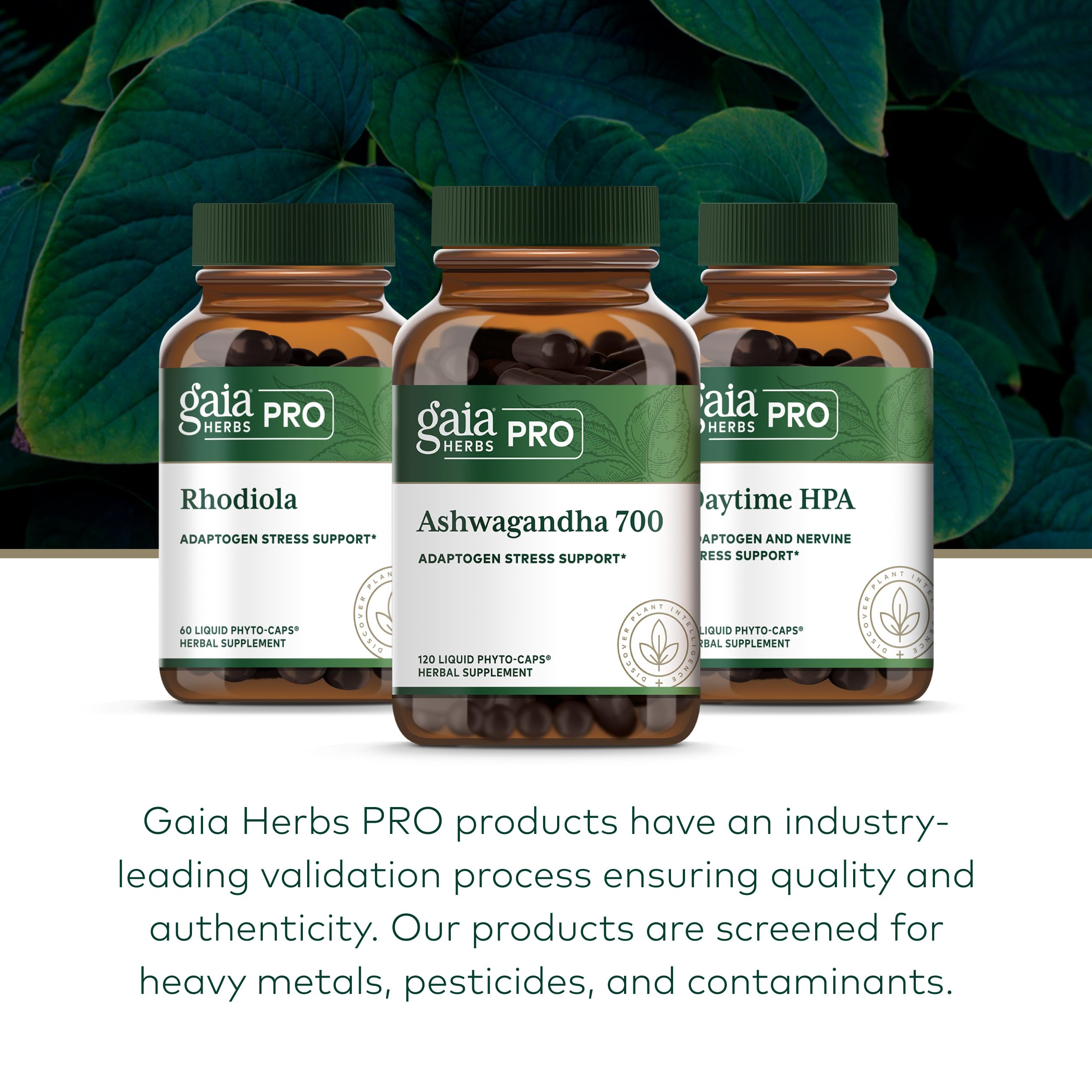 GAIA Herbs PRO Ashwagandha 700, uso diario para bienestar cotidiano.