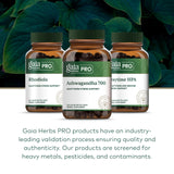 GAIA Herbs PRO Ashwagandha 700, uso diario para bienestar cotidiano.