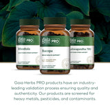 GAIA Herbs Pro Bacopa: presentación en frasco de 60 cápsulas para rutina diaria.