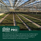GAIA HERBS PRO Berberina Metabólica, fórmula basada en berberina de agracejo indio.