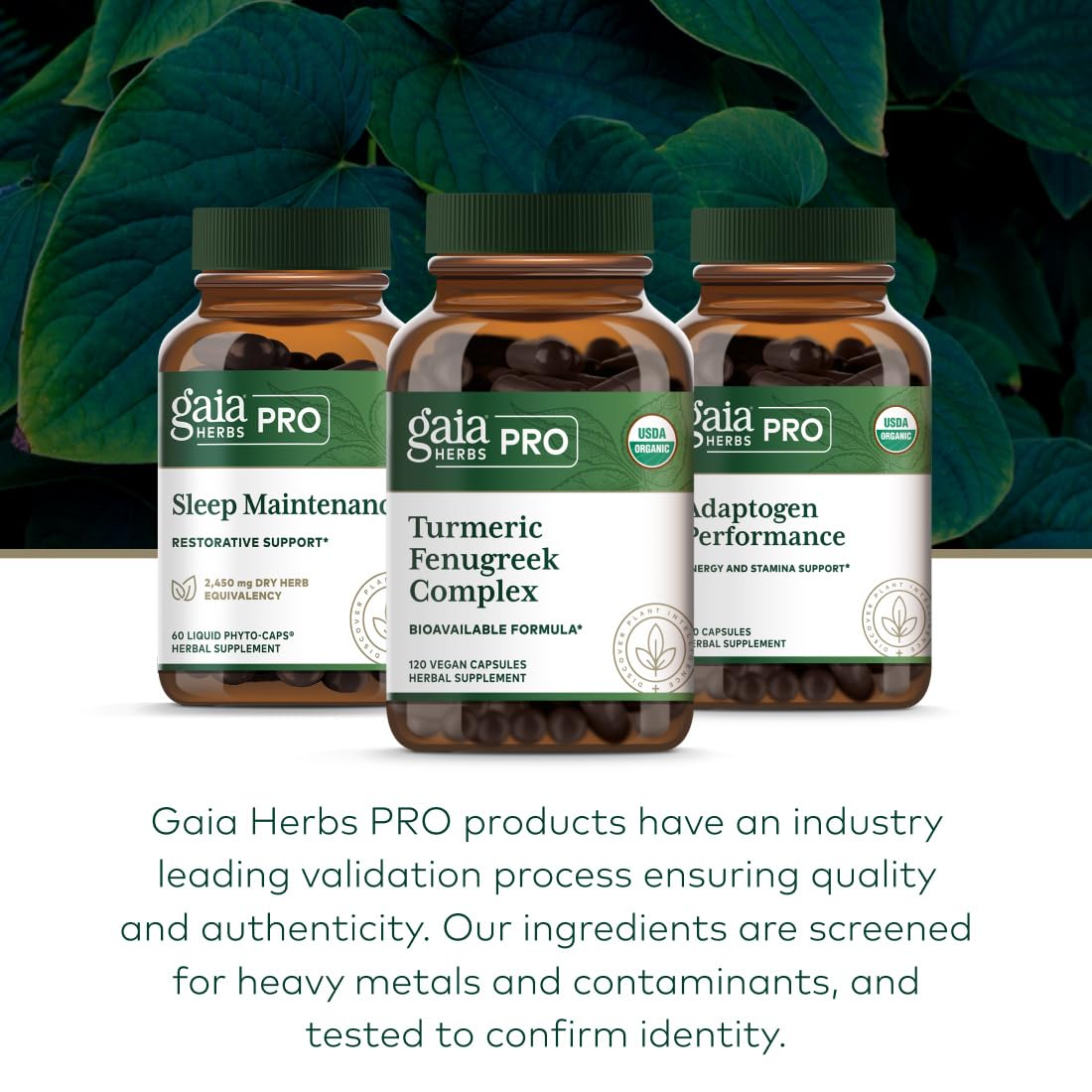 Botella Gaia Herbs PRO sobre mesa de cocina, rutina diaria.