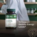 Gaia Herbs Pro Cordyceps: cultivo en granja regenerativa de Carolina del Norte.