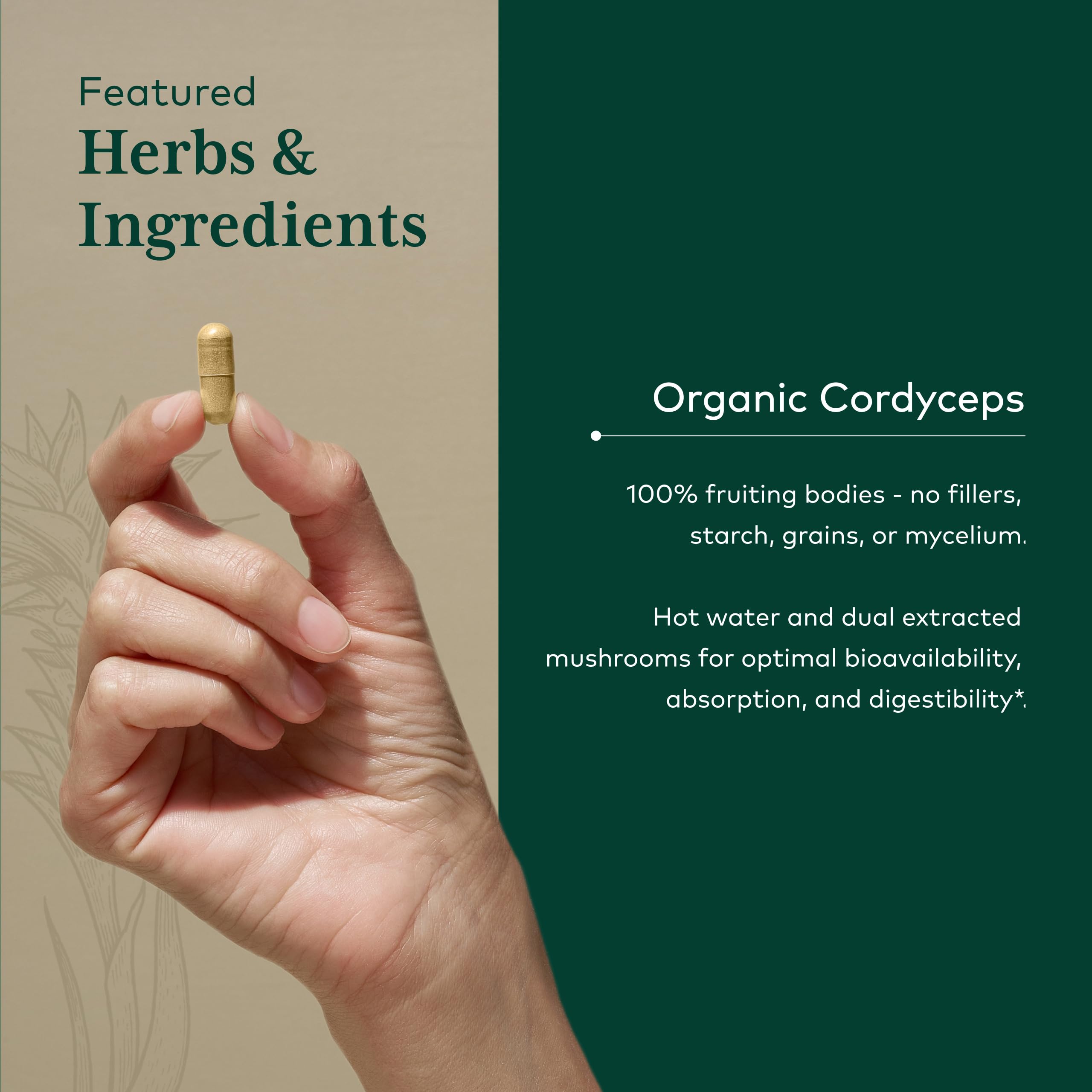 Gaia Herbs Pro Cordyceps: extracción con agua caliente para mejor absorción.