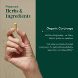 Gaia Herbs Pro Cordyceps: extracción con agua caliente para mejor absorción.
