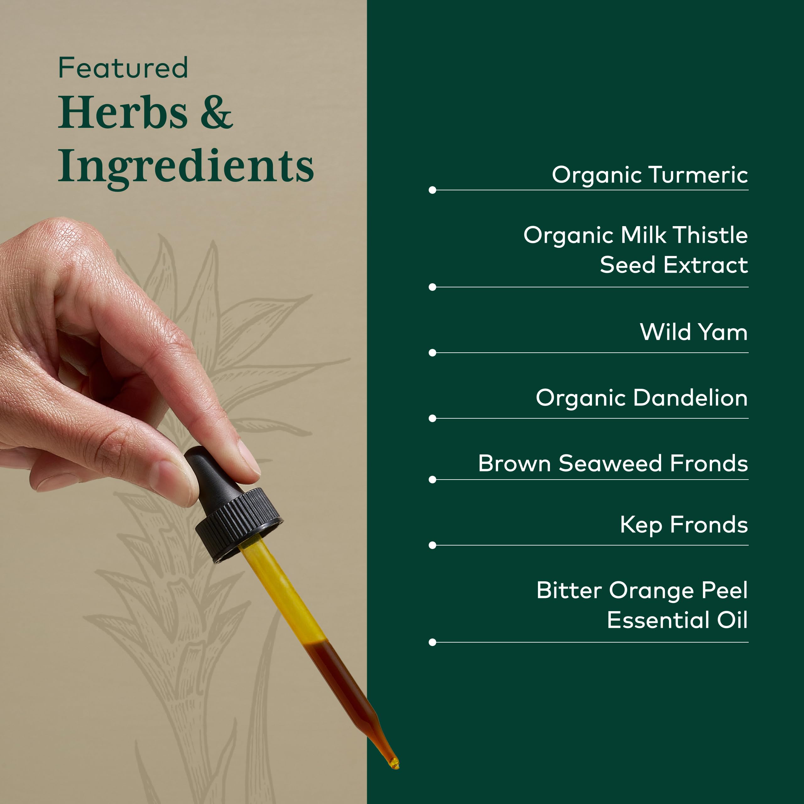 GAIA HERBS PRO; fórmula orgánica con curcuma, diente de león e hinojo para el cuidado digestivo.