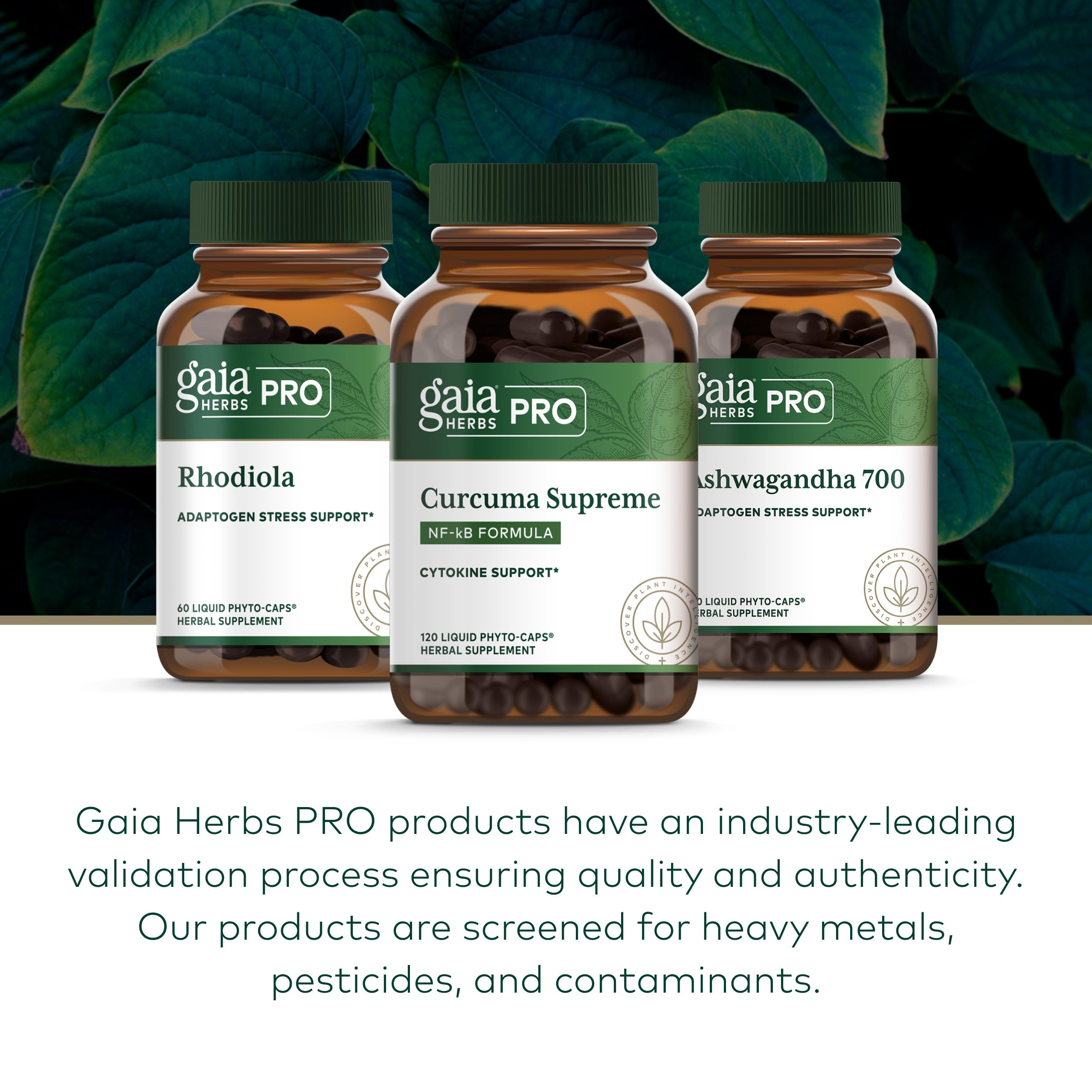 GAIA HERBS PRO Curcuma Supreme: cultivo orgánico regenerativo certificado para mayor confianza.