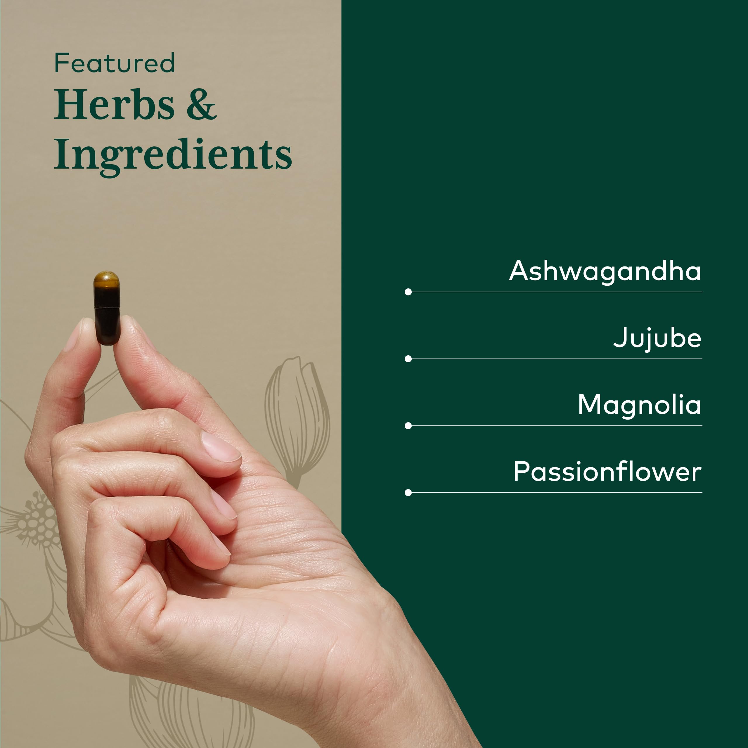 Dátiles de jujube en Gaia Herbs PRO para relajación vespertina