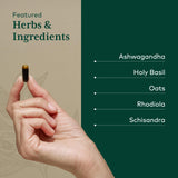 Gaia Herbs Pro Daytime HPA — aceite de oliva que facilita una mejor absorción de hierbas.