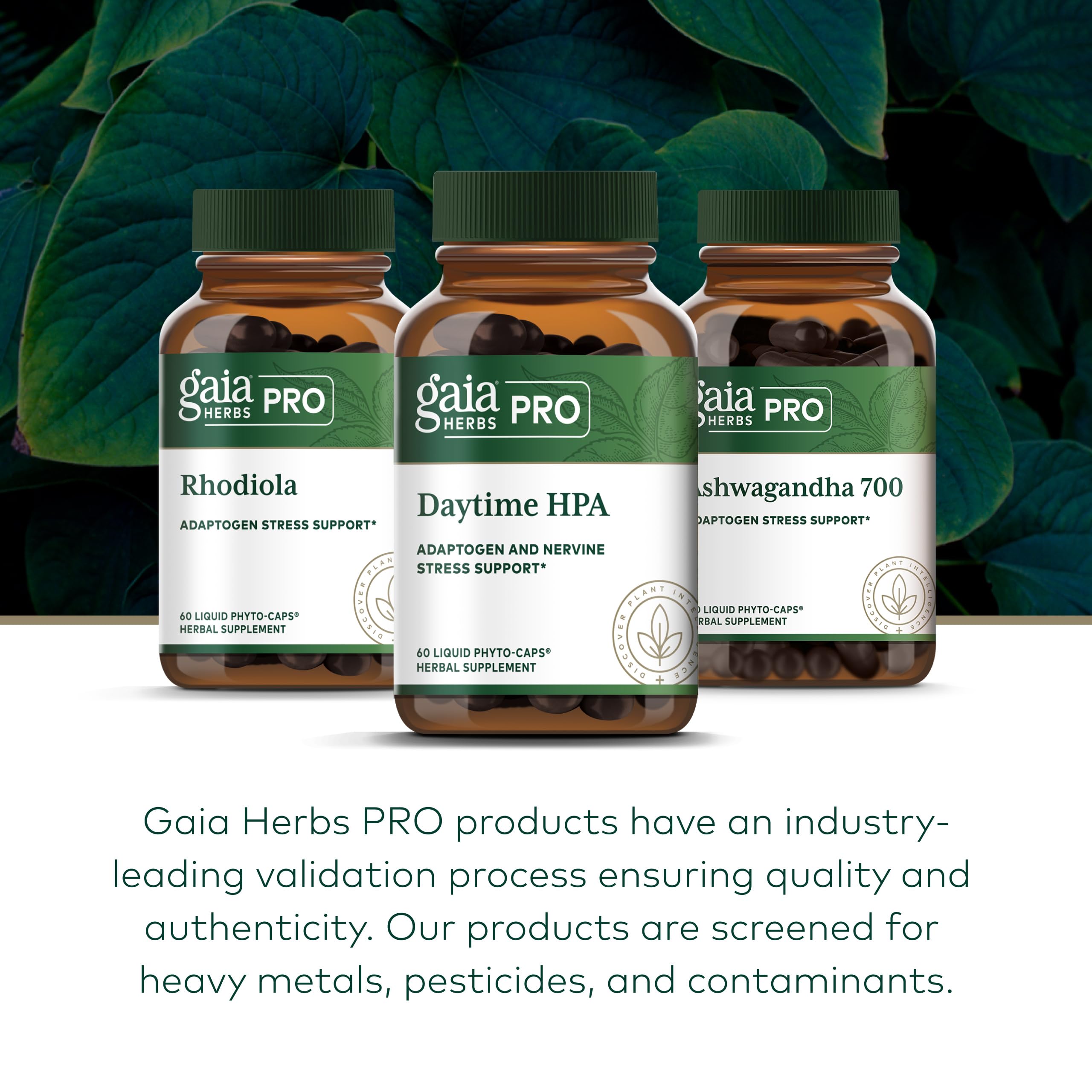 Gaia Herbs Pro Daytime HPA — rhodiola para apoyar la resistencia al estrés diario.