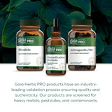 Espacio de encimera con Gaia Herbs PRO Desintoxicación en la encimera, luz suave.