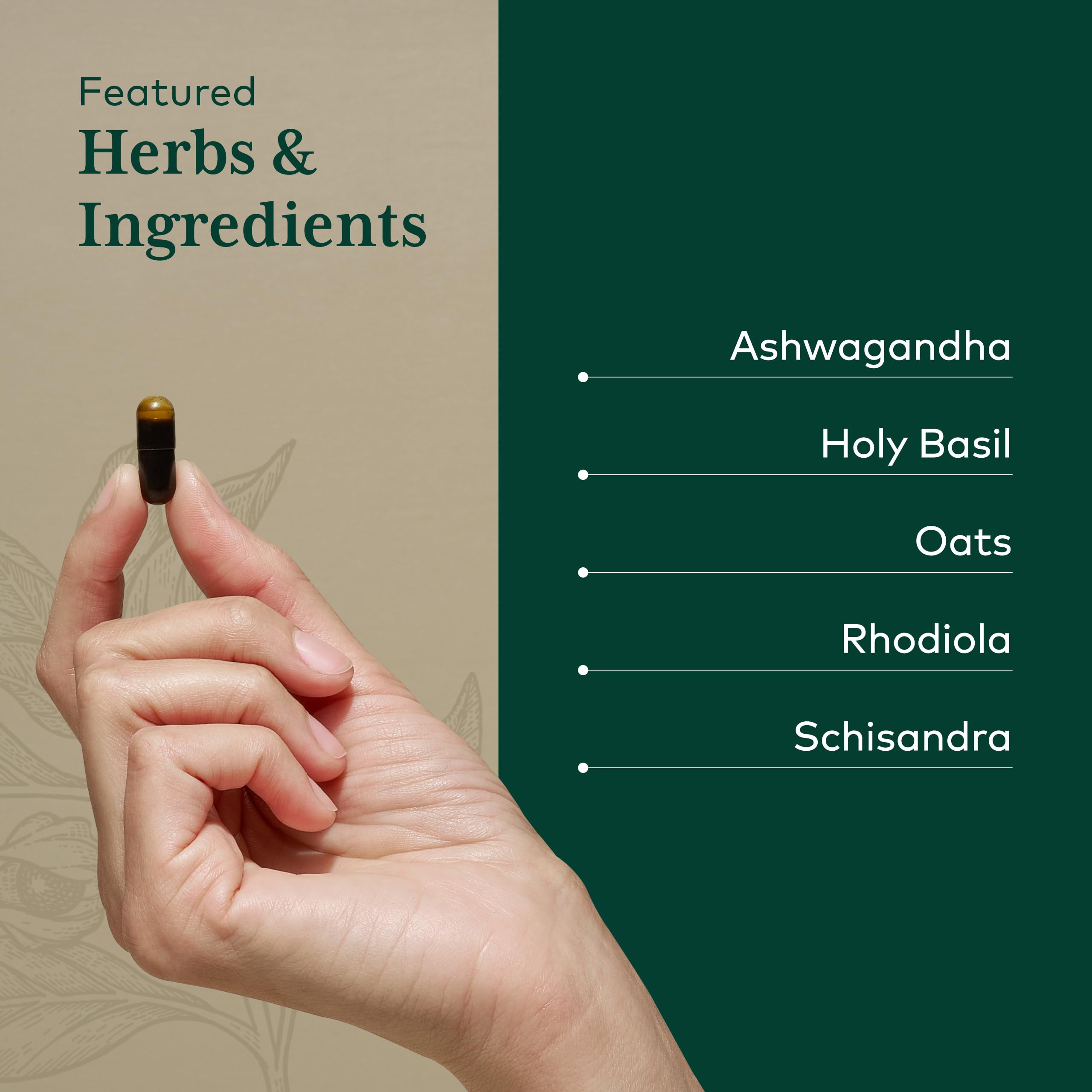 Gaia Herbs PRO Dia Time, rhodiola y schisandra para el equilibrio diario.