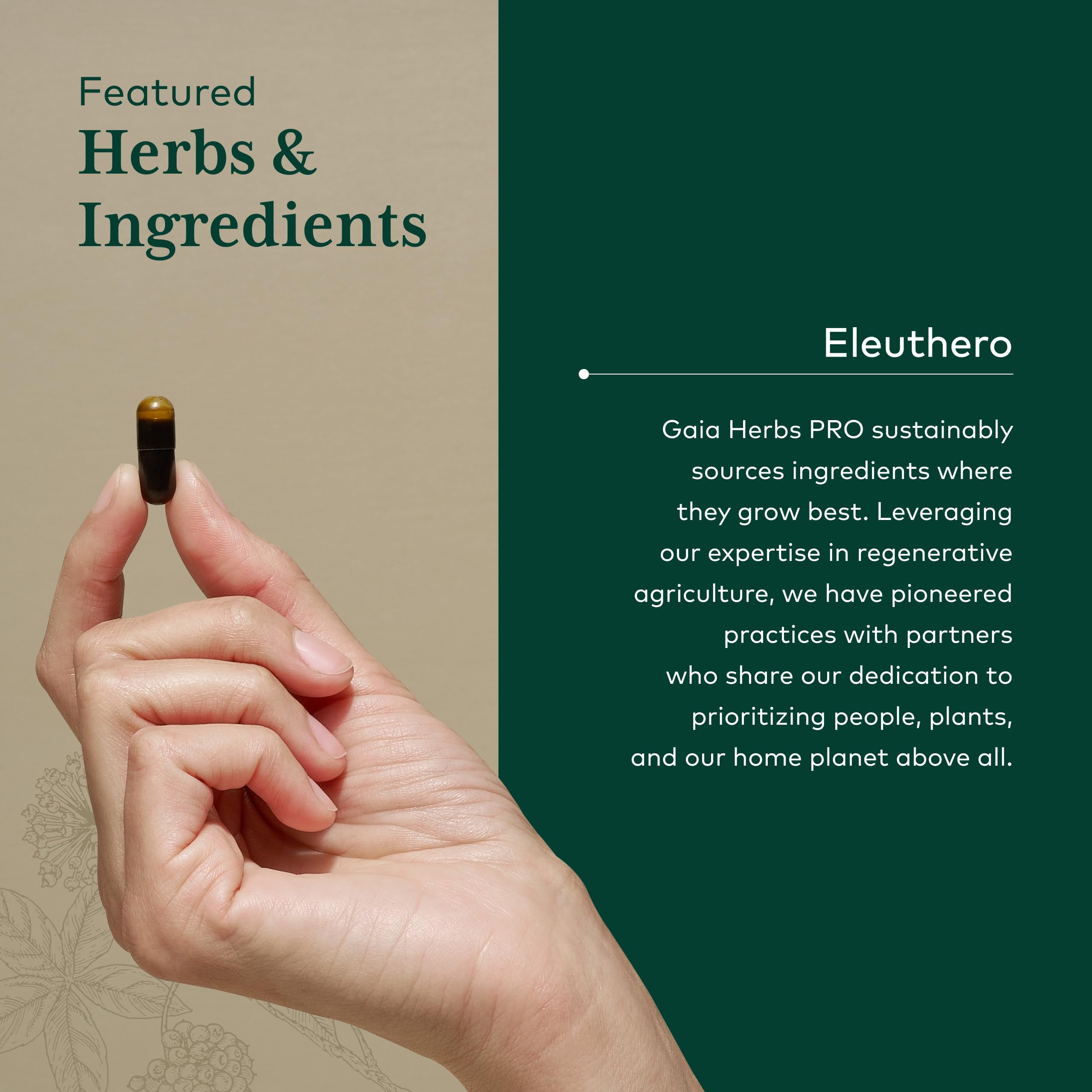 Gaia Herbs PRO Eleuthero: envase-detalle resalta la pureza de la fórmula.