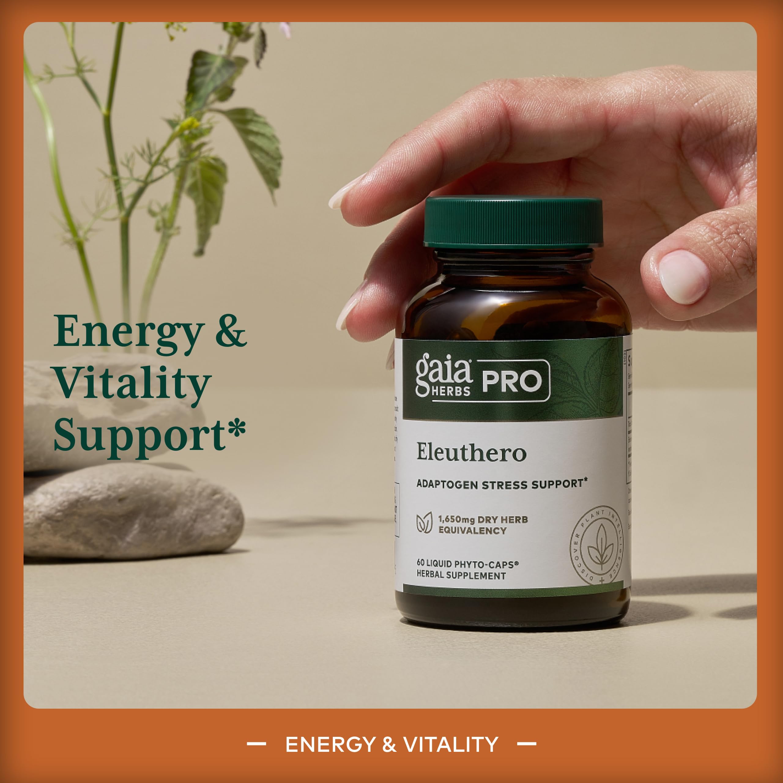 Gaia Herbs PRO Eleuthero: etiqueta frontal facilita lectura de dosis y beneficio.