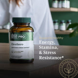 Gaia Herbs PRO Eleuthero: finca y cultivo sostenible para hierbas frescas.