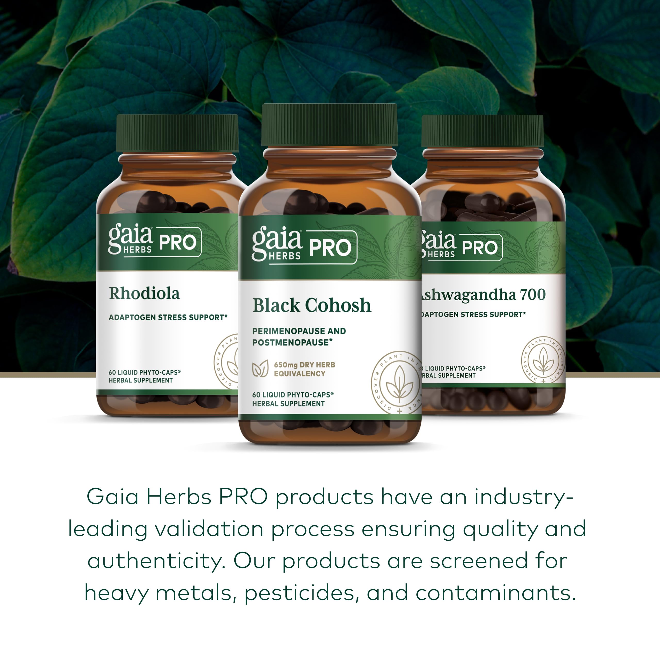 GAIA HERBS PRO envase en mano, uso práctico diario.