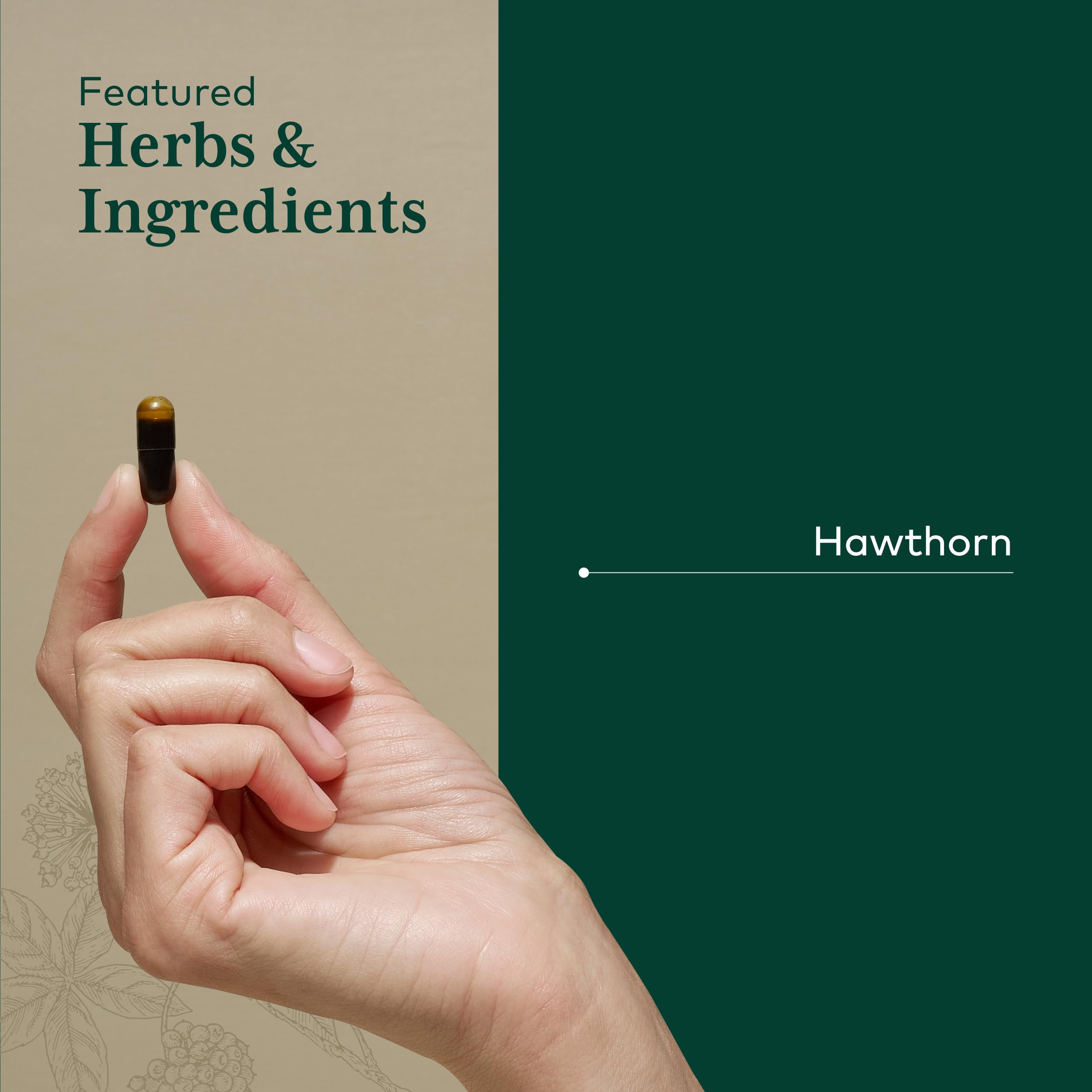 Gaia Herbs Pro espino alvar, bayas de espino para uso herbal.