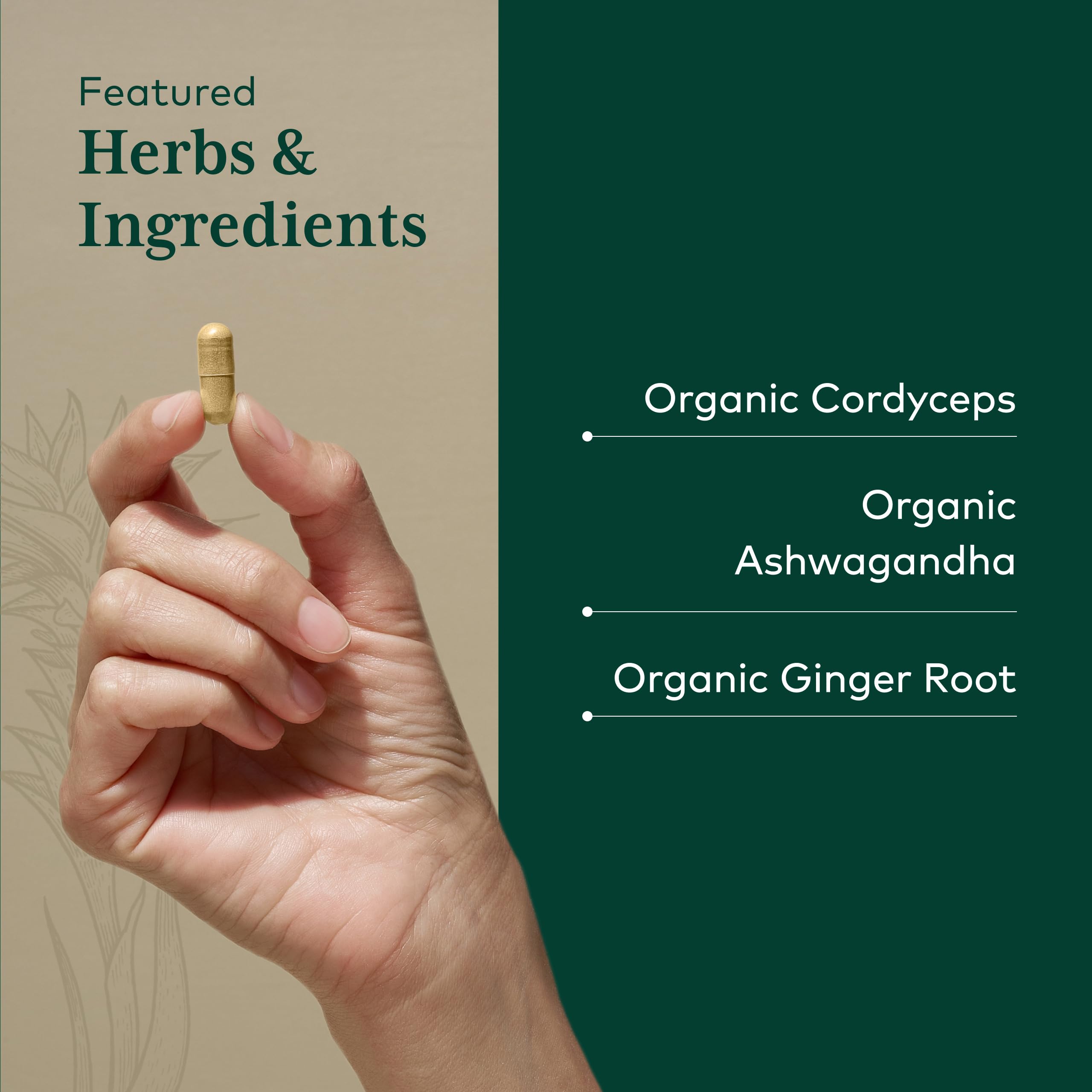 Etiqueta de Gaia Herbs PRO con información clara de la marca.