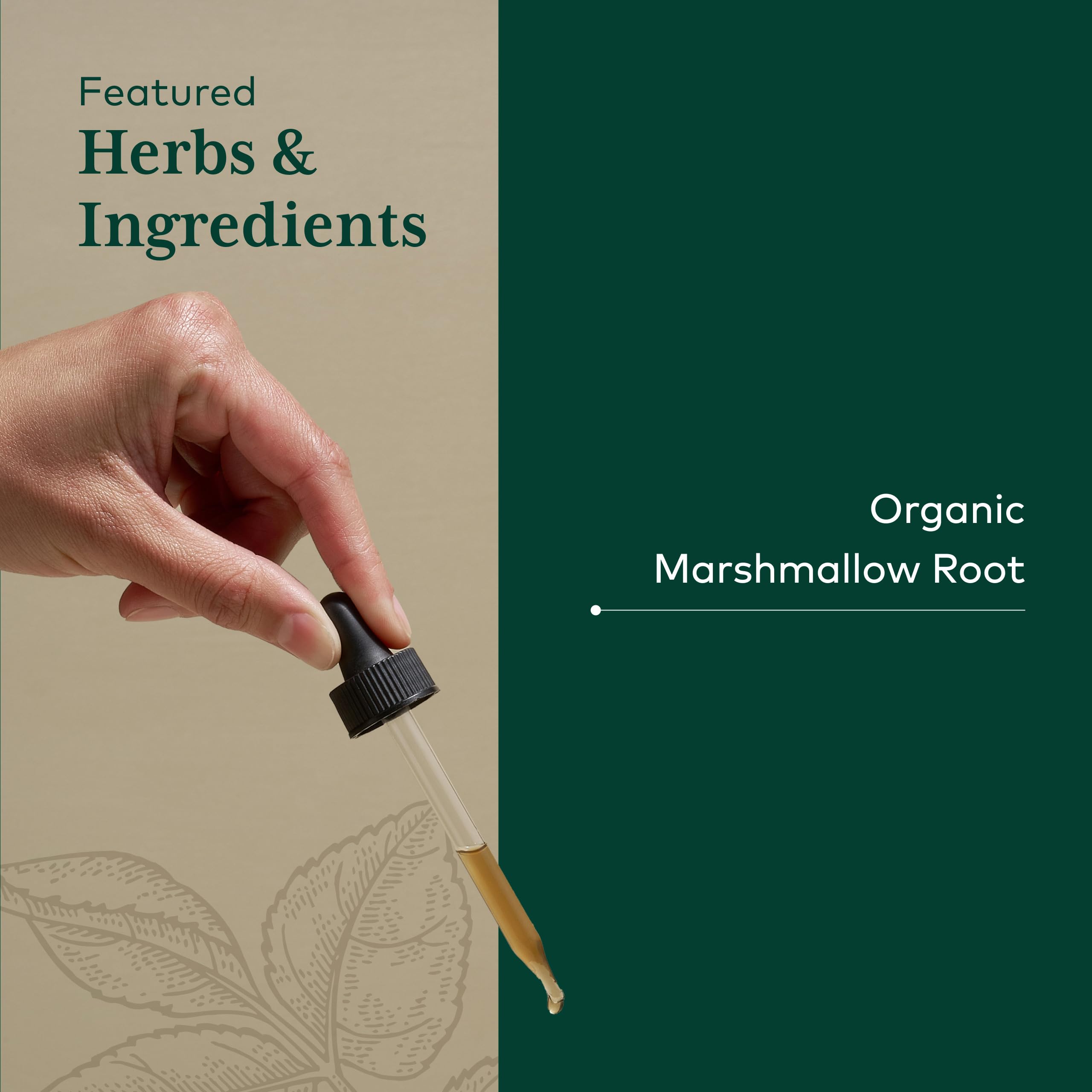 Extracto fresco de malvavisco con aroma herbal suave.