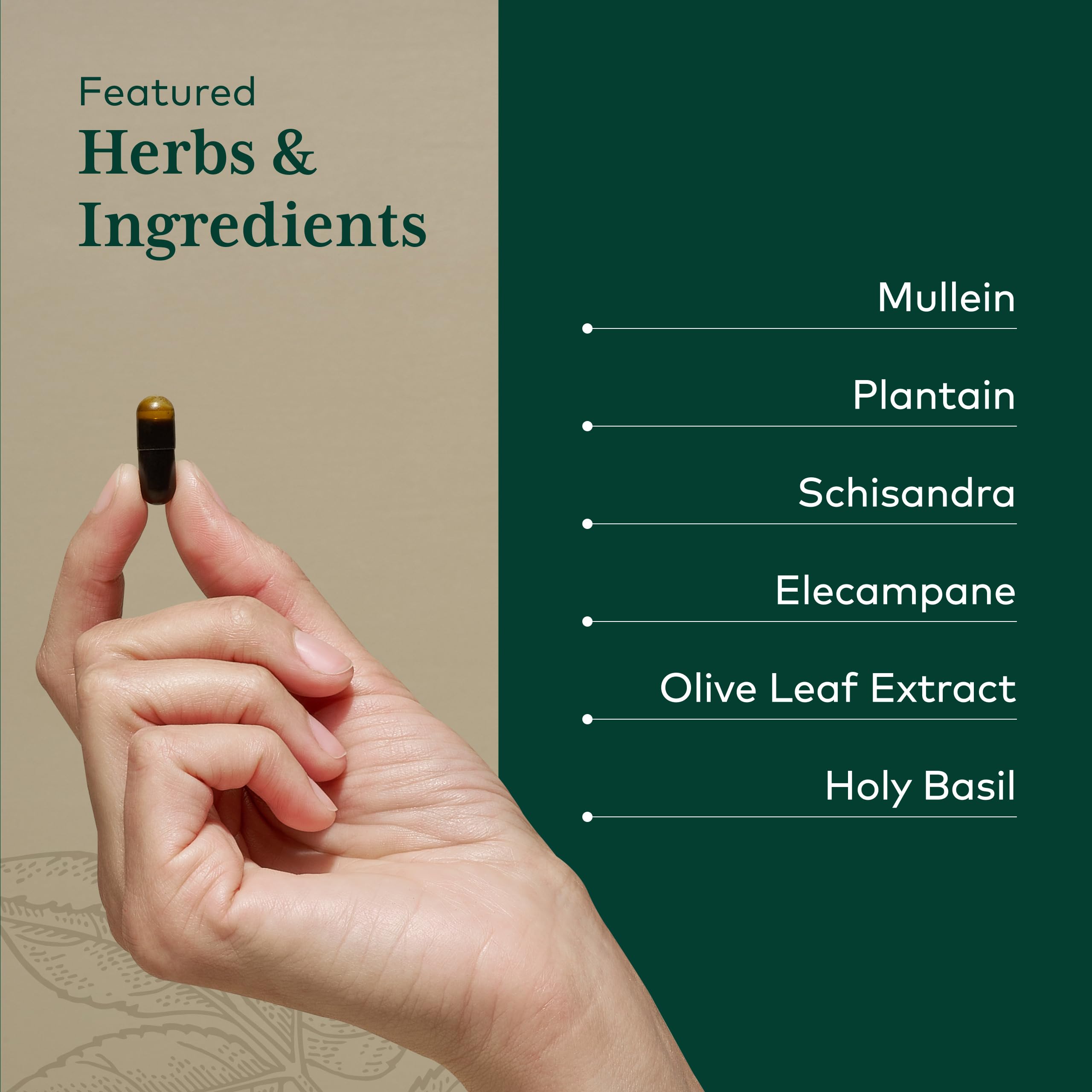 GAIA HERBS PRO extracto de oliva para mejorar absorción de nutrientes.