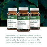Granja regenerativa orgánica en Carolina del Norte de Gaia Herbs PRO.