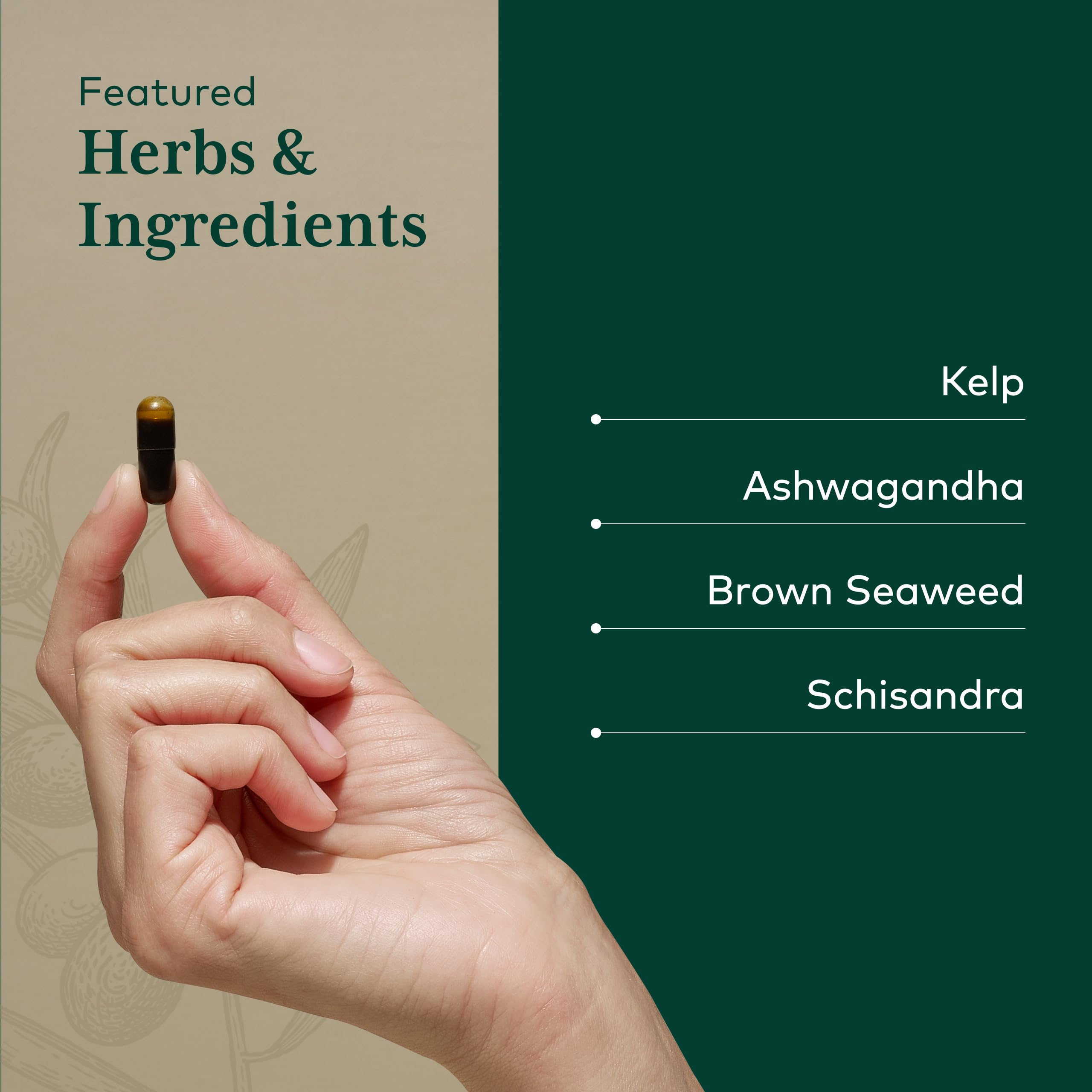 Gaia Herbs Pro Alga-Kelp, ingrediente marino para metabolismo equilibrado
