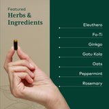 GAIA Herbs PRO Cognitiva: fo-ti raíz en primer plano para apoyar el enfoque herbal.