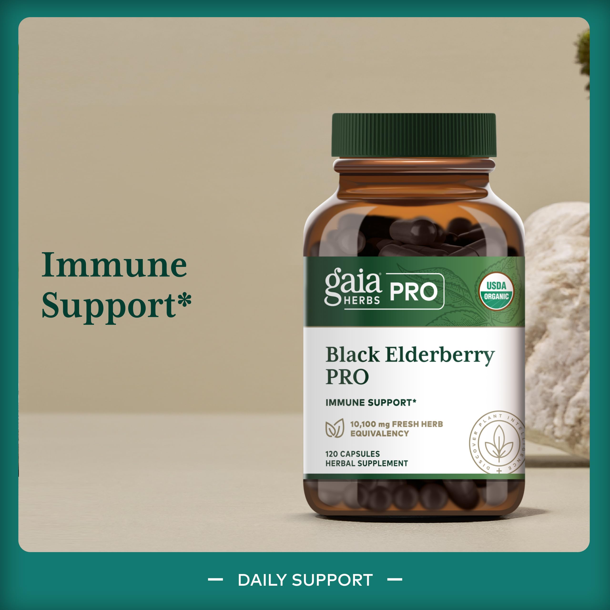 Fórmula Concentrada de GAIA HERBS PRO con saúco negro.
