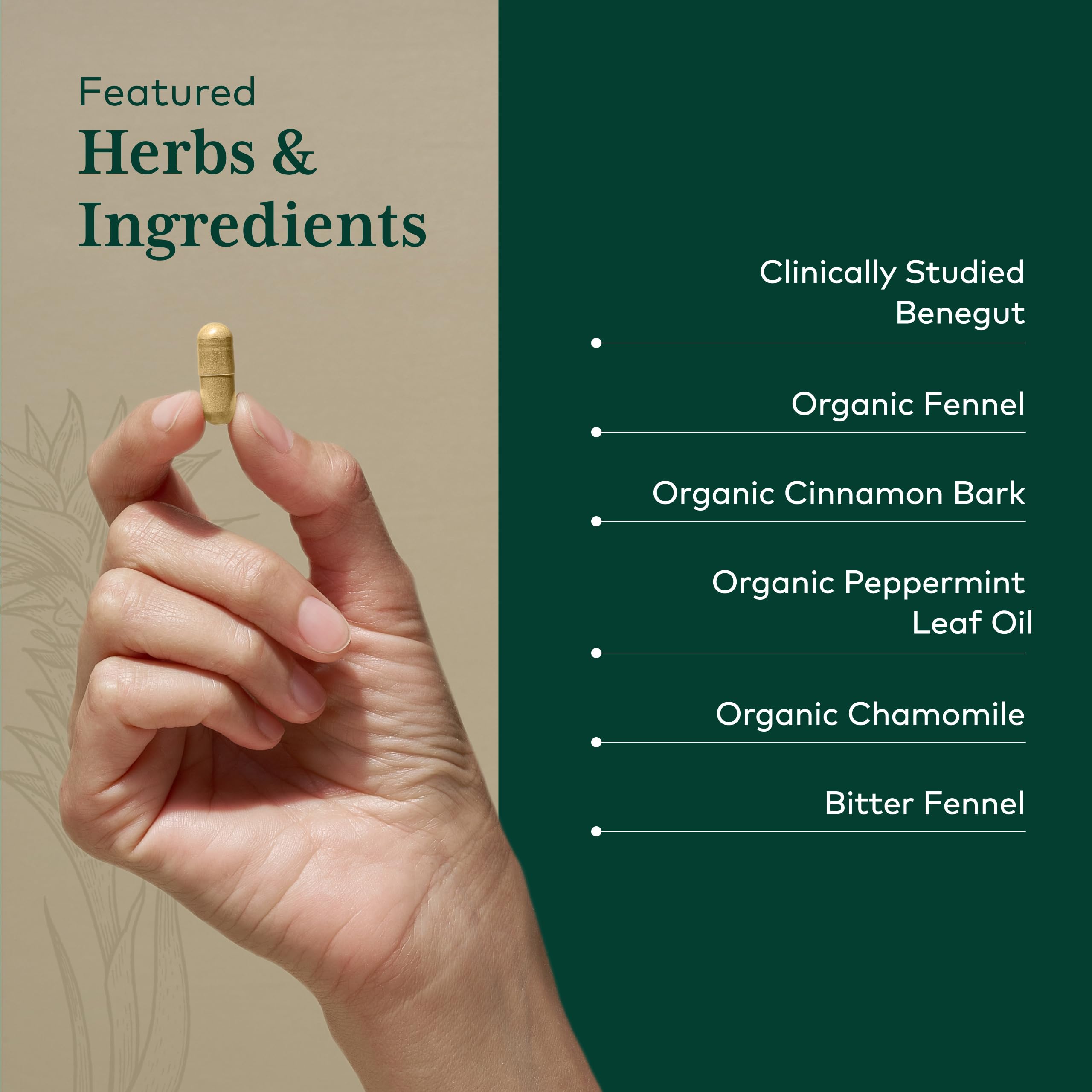 Gaia Herbs PRO GI-BFF, corteza de canela, aroma cálido que sugiere beneficios digestivos.