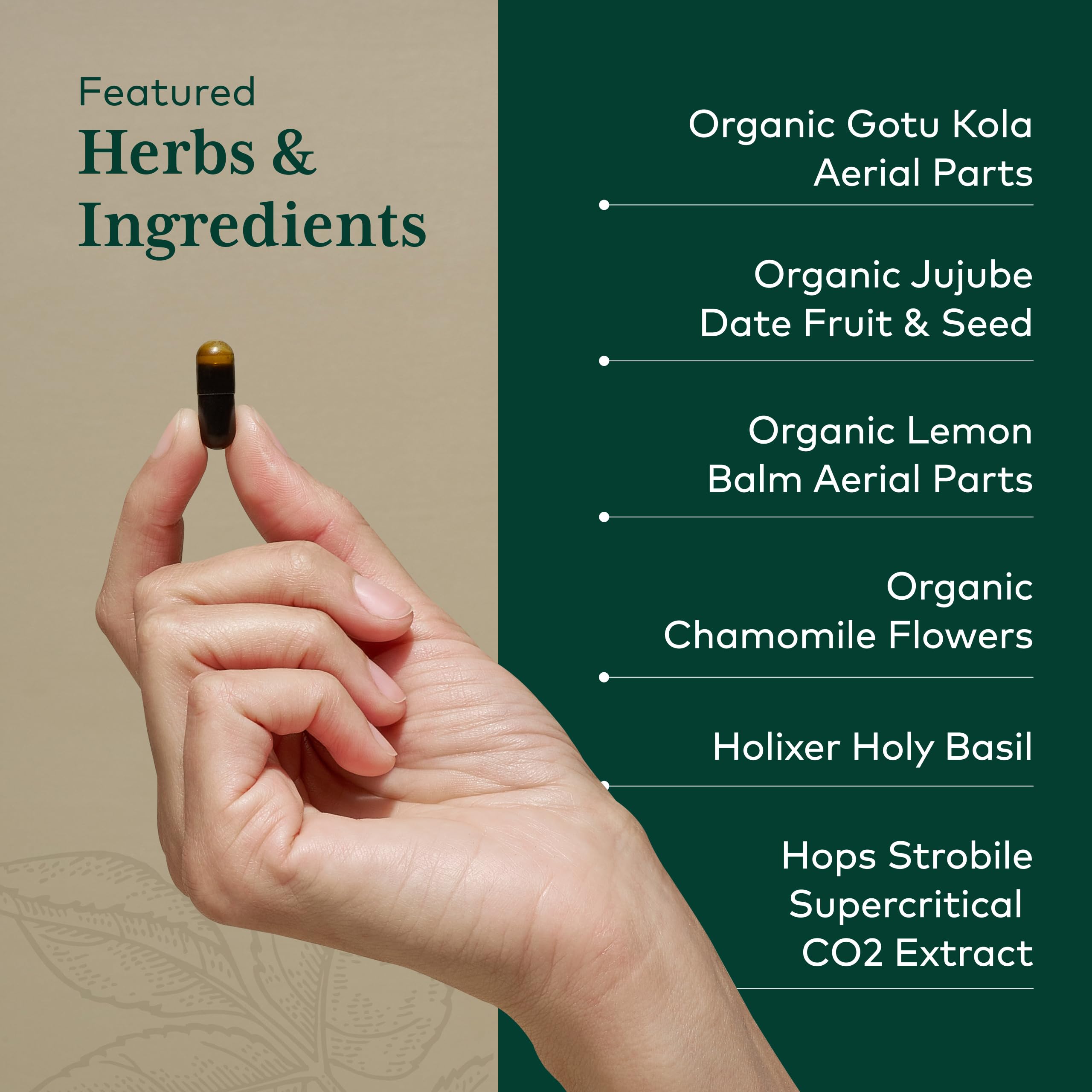 Gaia Herbs PRO GI Stress, melisa para relajar el intestino
