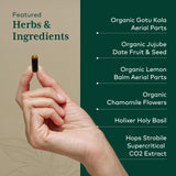 Gaia Herbs PRO GI Stress, melisa para relajar el intestino