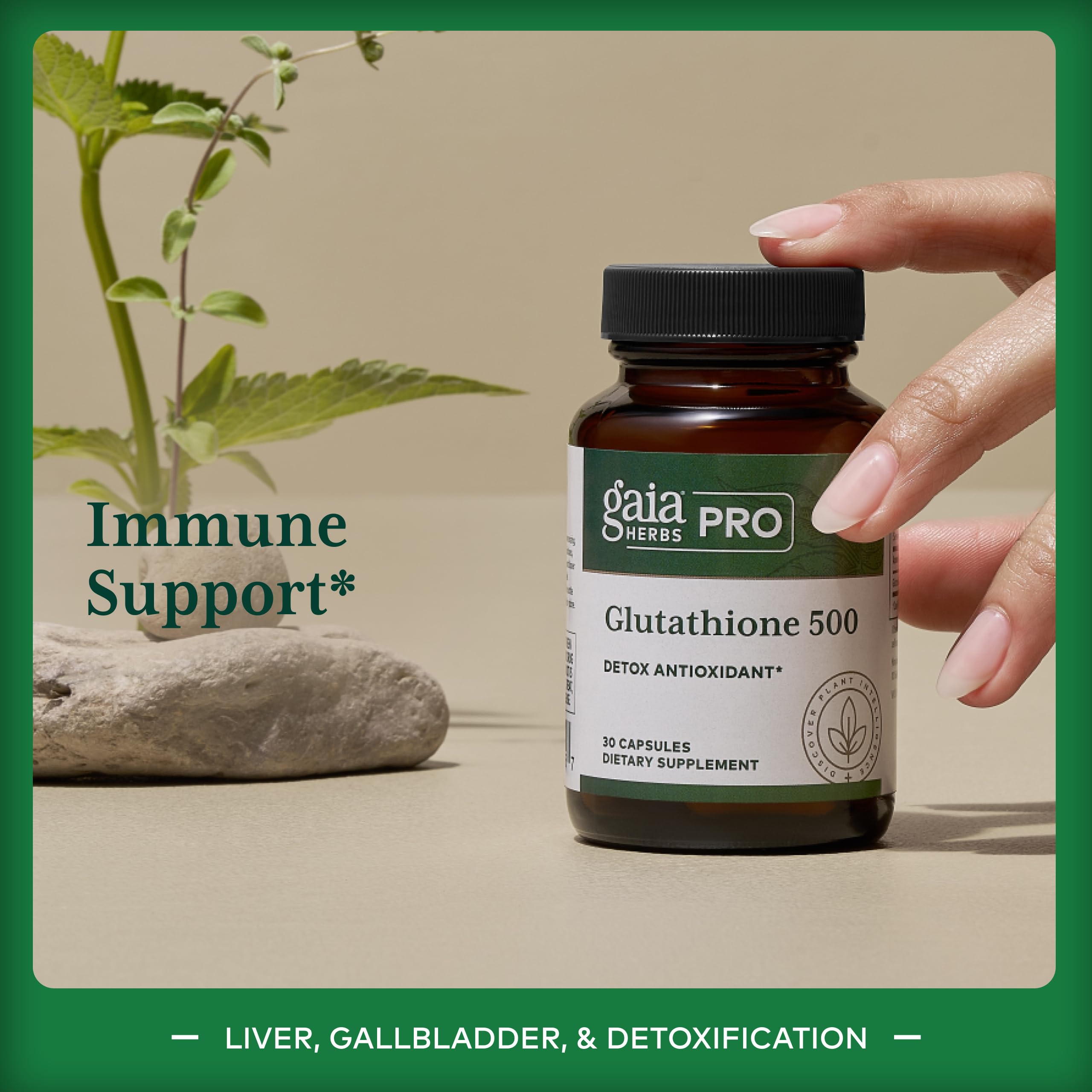 Gaia Herbs PRO Glutatión 500, cápsulas alineadas para uso diario