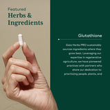 Gaia Herbs PRO Glutatión 500, sello vegano y sin gluten, garantía de pureza