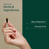 Granja orgánica regenerativa de GAIA HERBS PRO en Carolina del Norte.