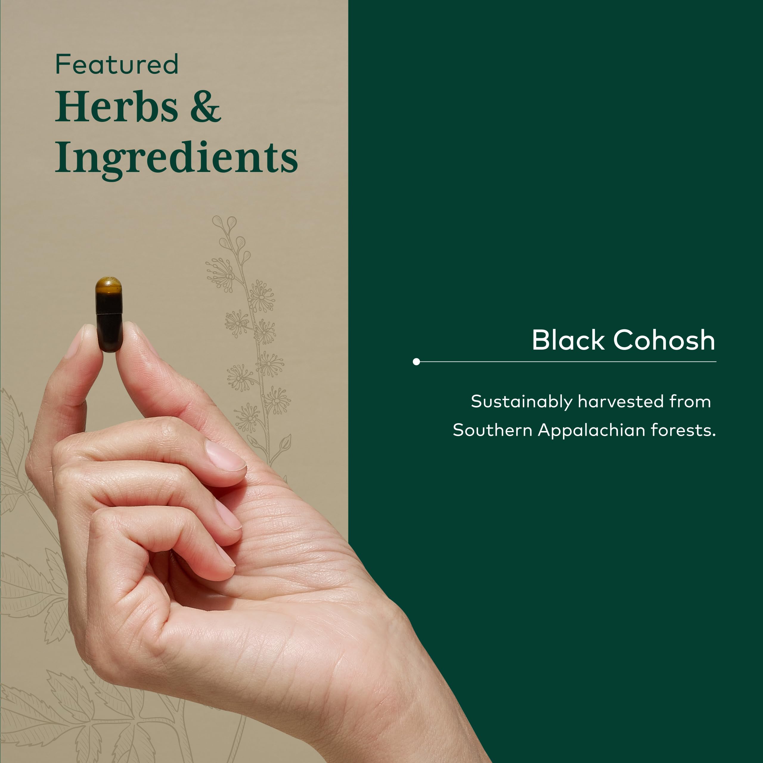 GAIA HERBS PRO: granja regenerativa, cultivo sostenible.