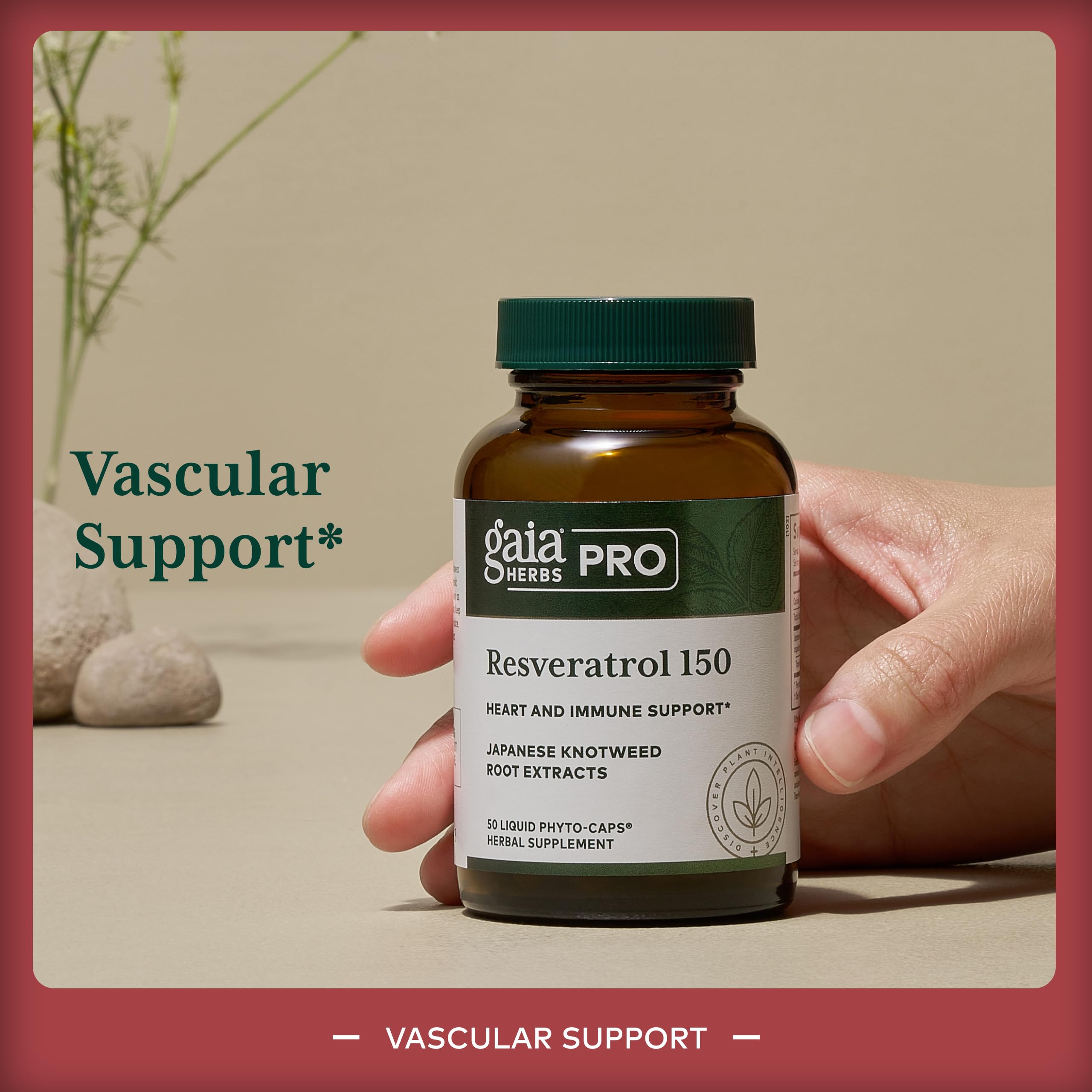 GAIA Herbs Pro Resveratrol 150 con knotweed japonés, fuente natural de resveratrol.