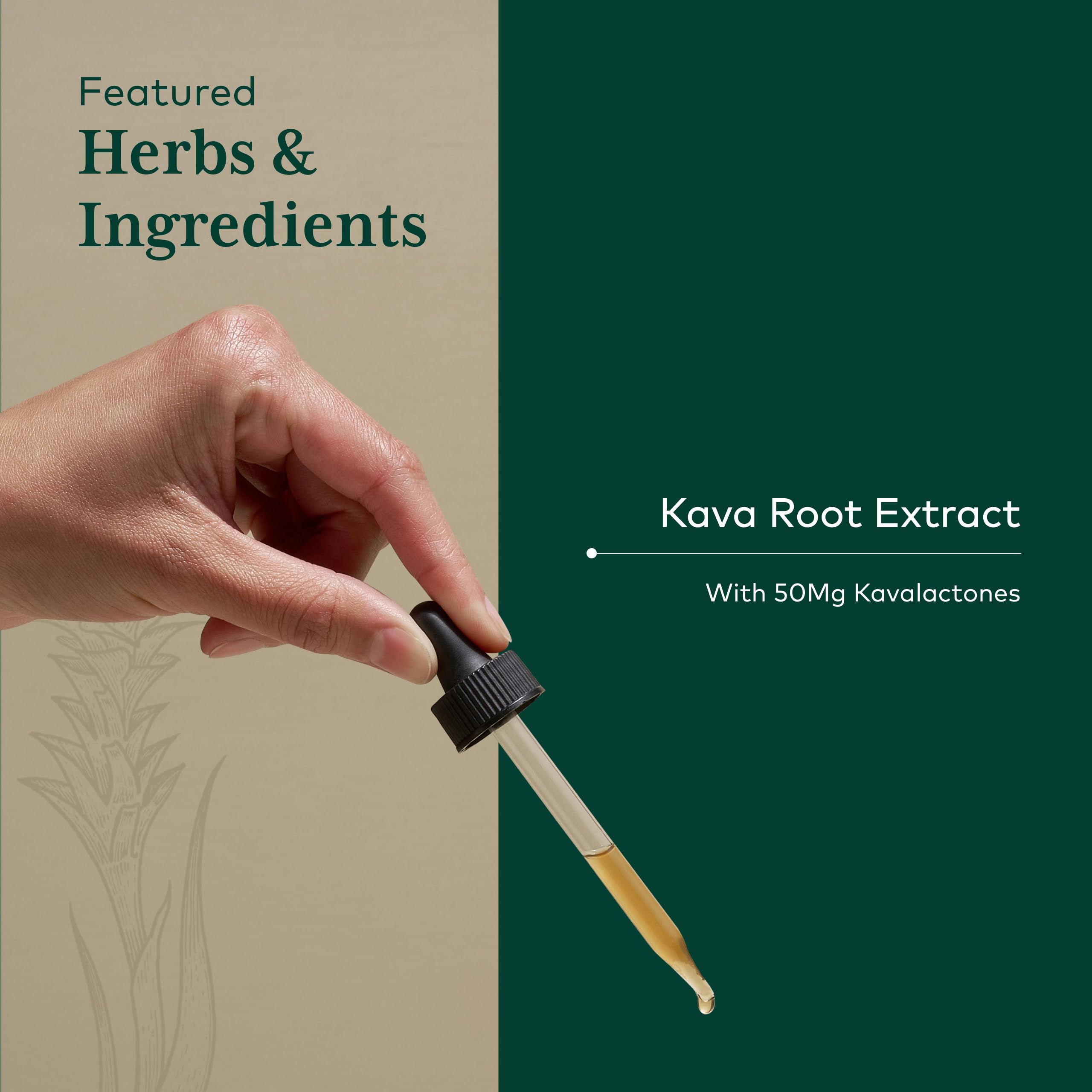 Frasco portátil de Gaia Herbs PRO Kava 50 para casa o viaje.