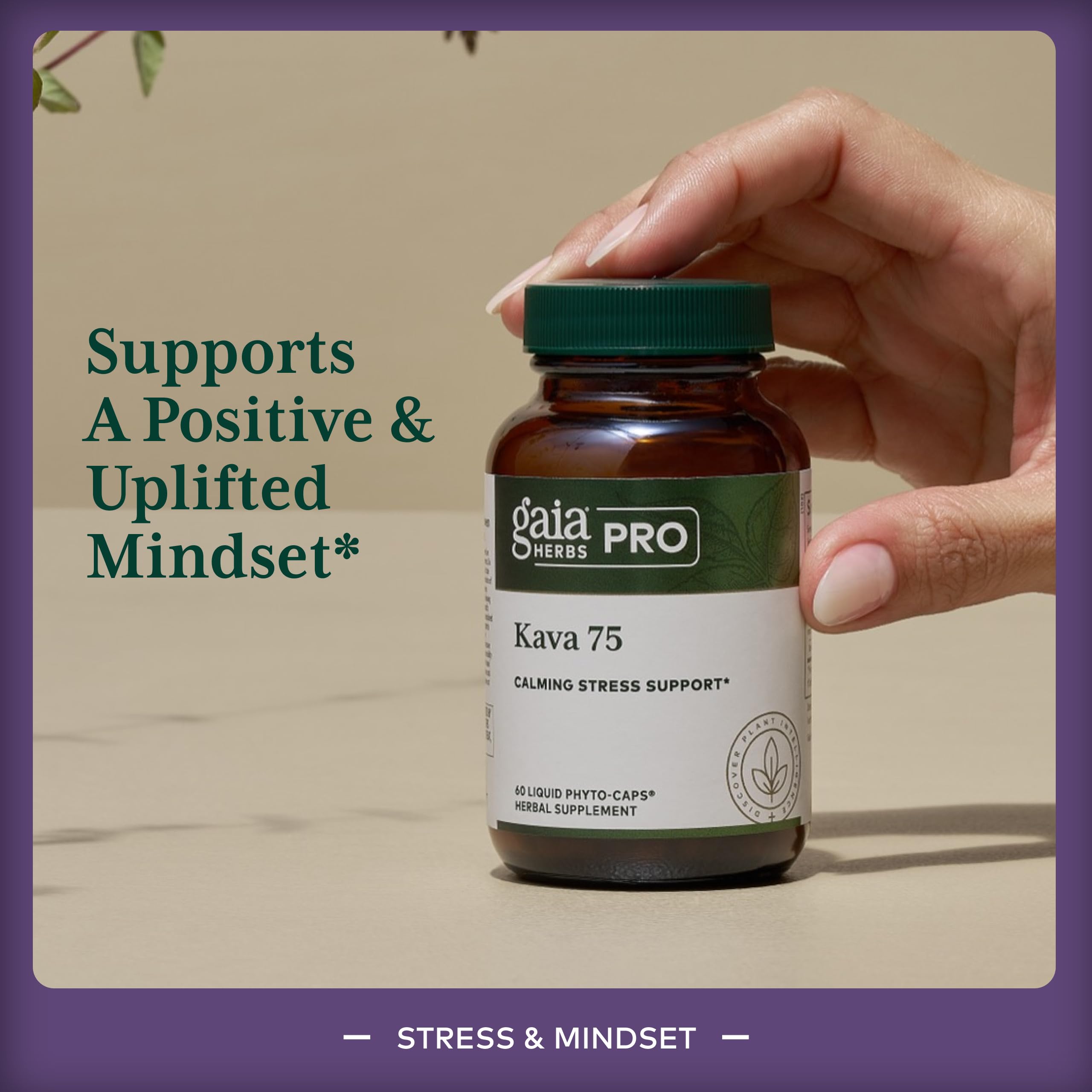Etiqueta de GAIA HERBS PRO Kava 75 destaca calidad e ingredientes.