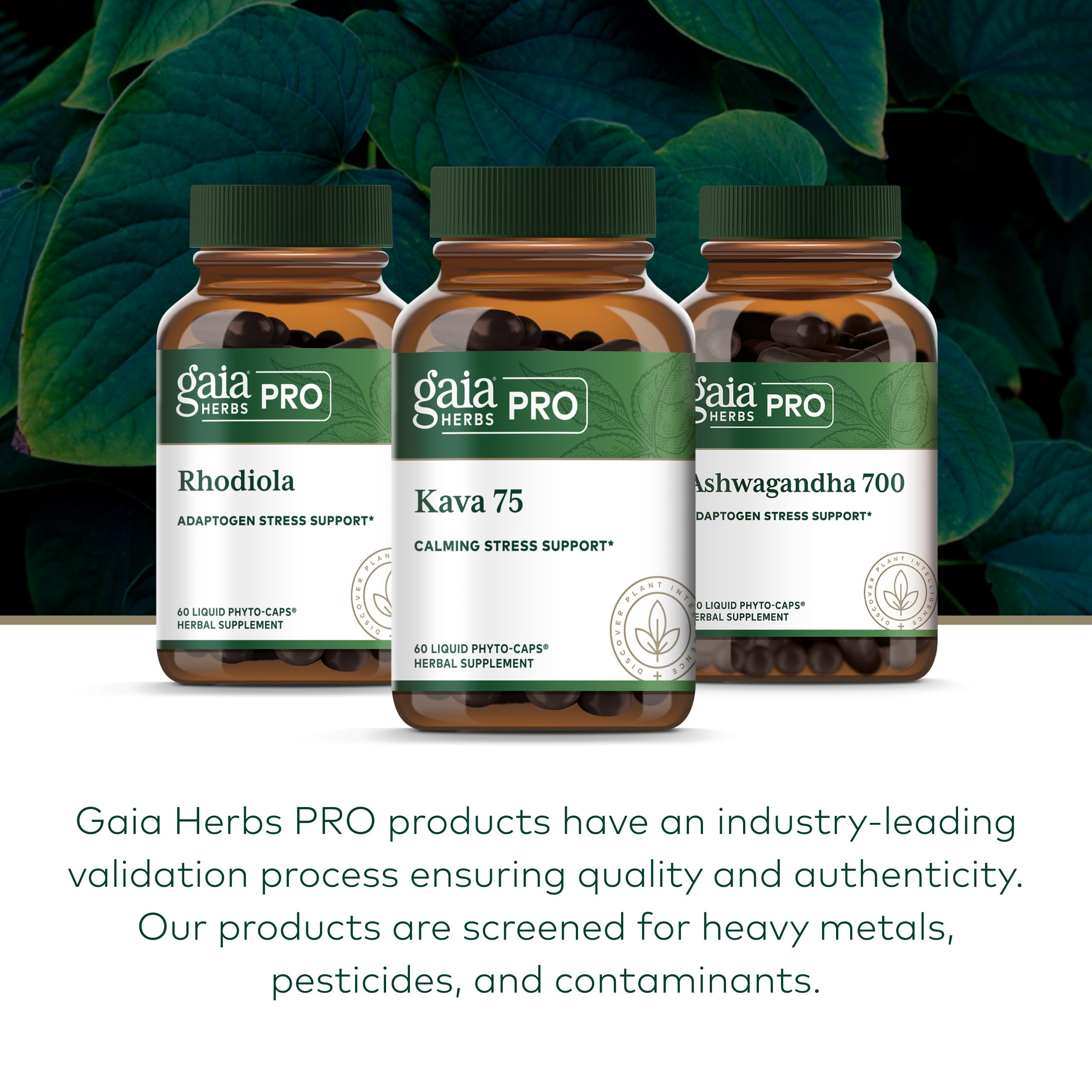 Uso diario de GAIA HERBS PRO Kava 75, 75 mg por porción para equilibrio.