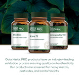 Uso diario de GAIA HERBS PRO Kava 75, 75 mg por porción para equilibrio.