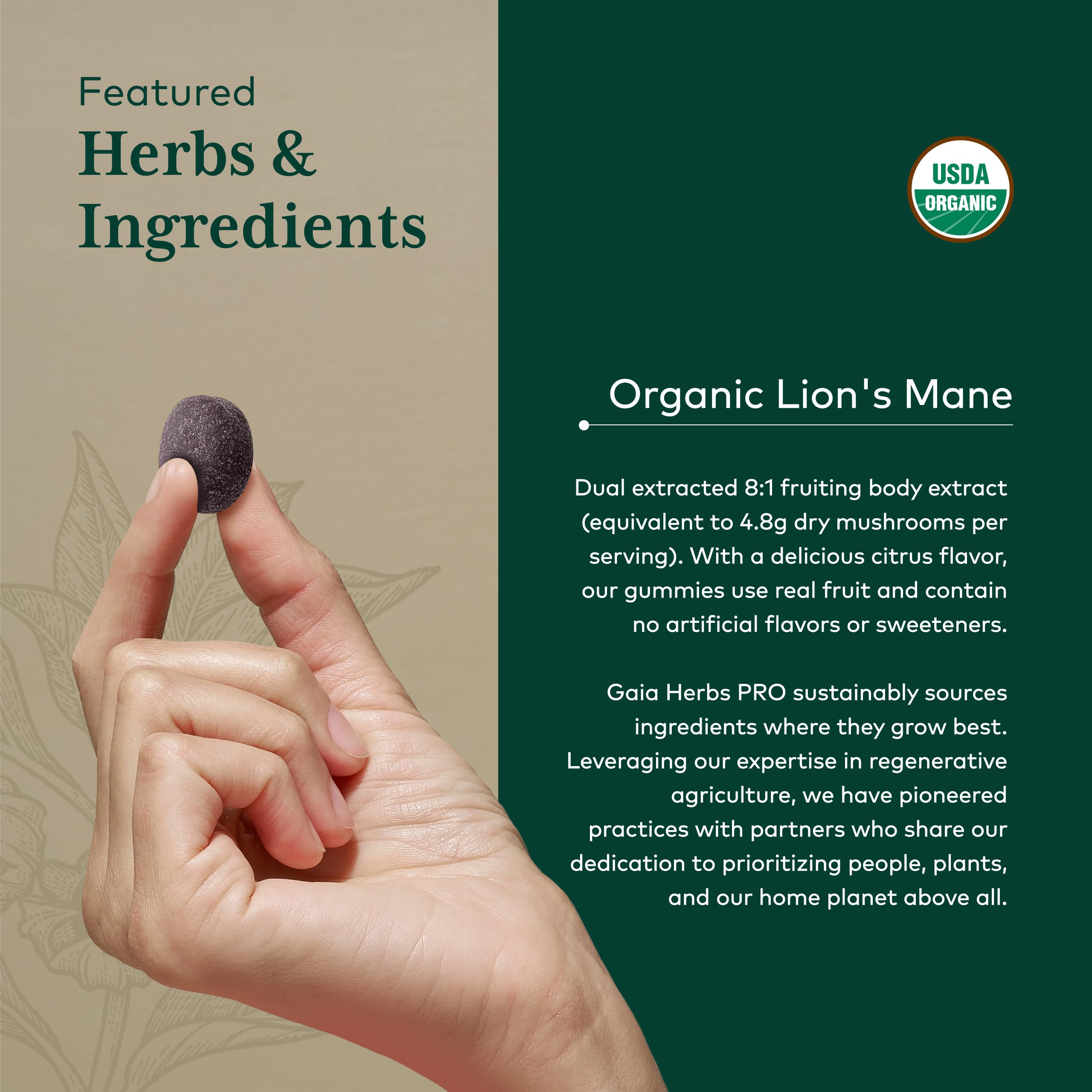 GAIA HERBS PRO Melena de León Gummies dosis 30 porciones para uso diario.
