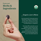 GAIA HERBS PRO Melena de León Gummies dosis 30 porciones para uso diario.