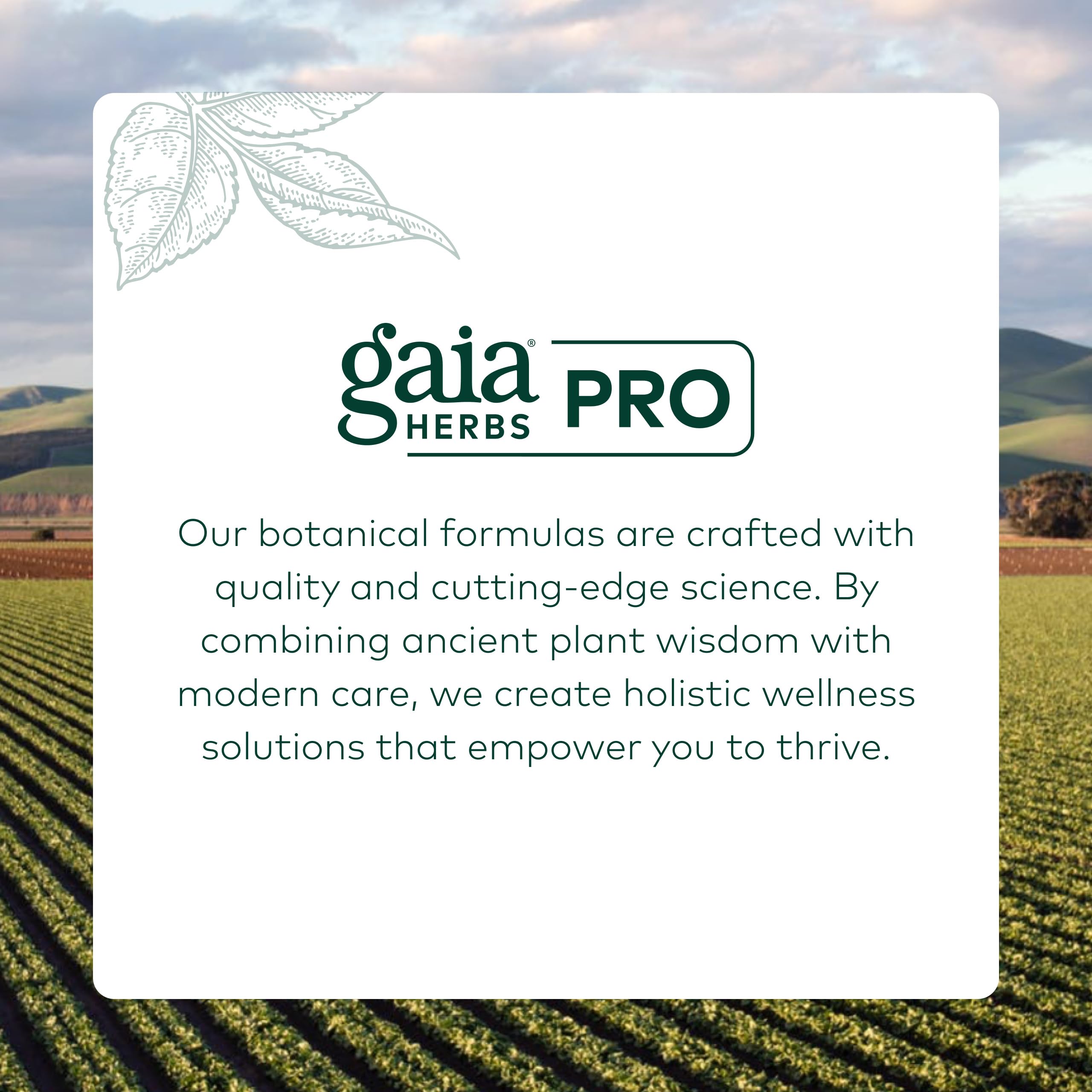 GAIA HERBS PRO Melena de León Gummies escena de estudio; posibles beneficios para la claridad mental.