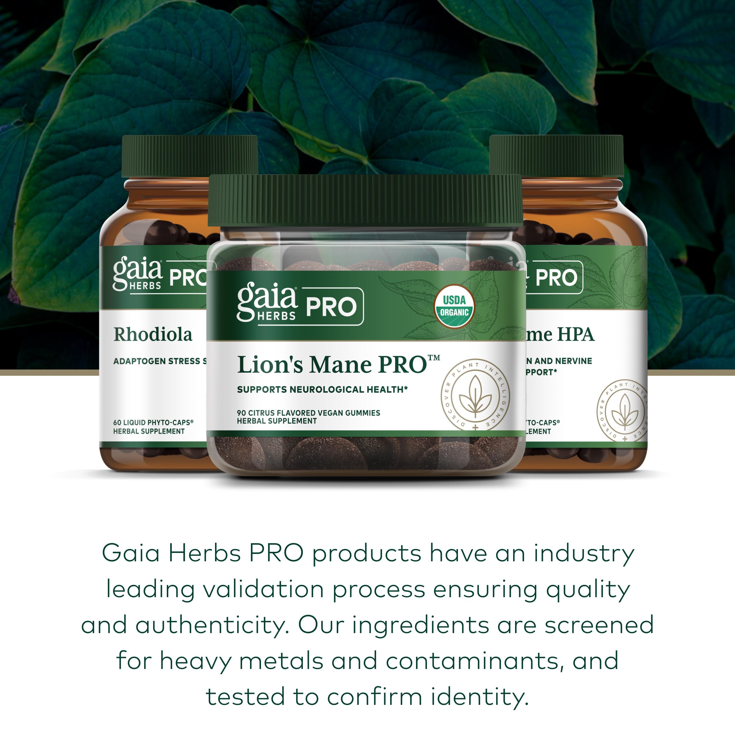 GAIA HERBS PRO Melena de León Gummies persona sosteniendo botella; estilo de vida vegano.