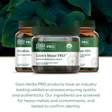 GAIA HERBS PRO Melena de León Gummies persona sosteniendo botella; estilo de vida vegano.