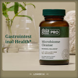 GAIA HERBS PRO hojas de orégano, aroma herbal y soporte para la digestión